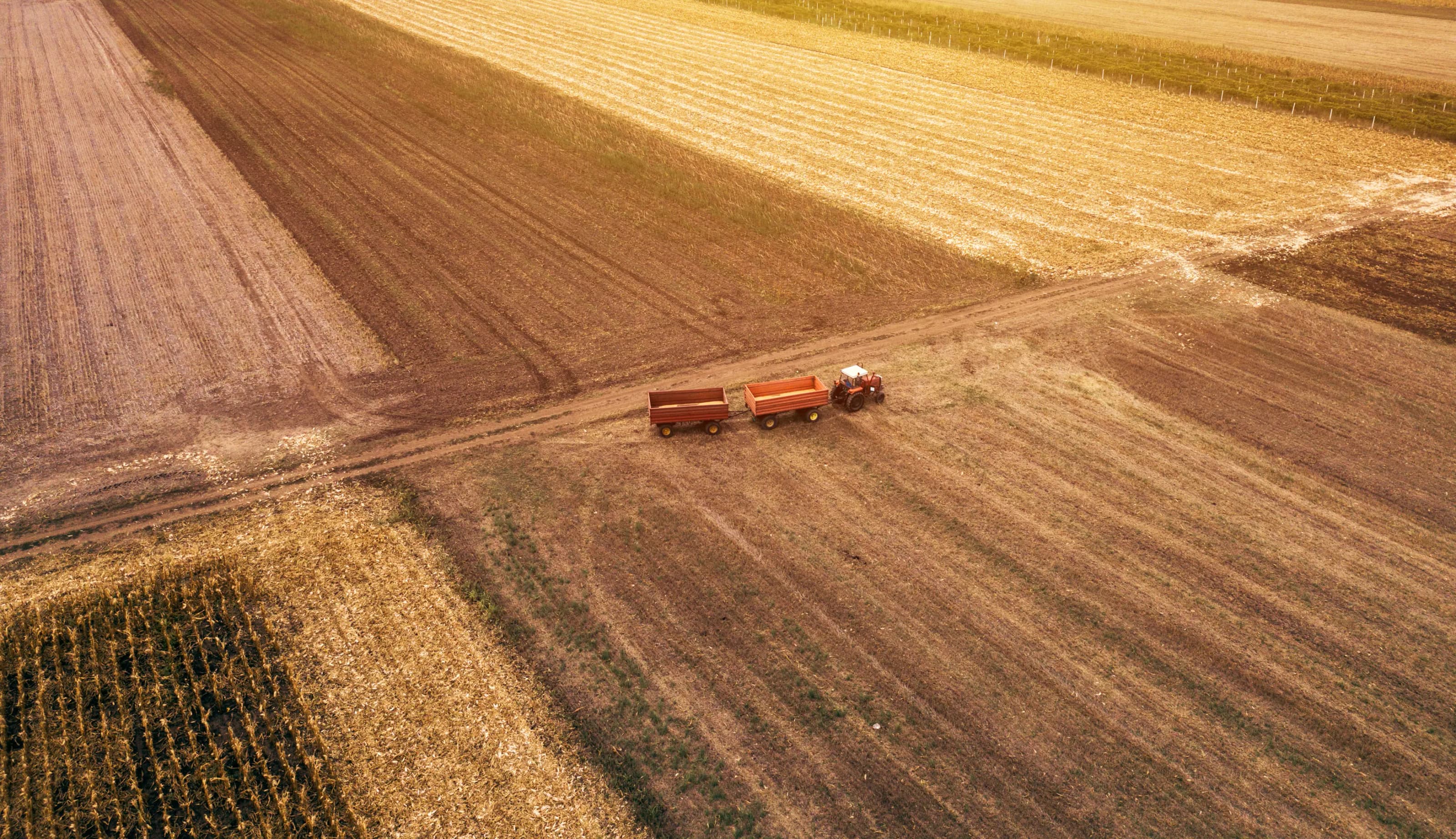 The future of agriculture in the post COVID-19 era